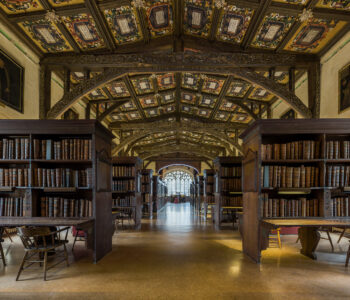 Creator: David Iliff Copyright: David Iliff